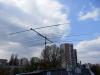 p5010029_t1.jpg
